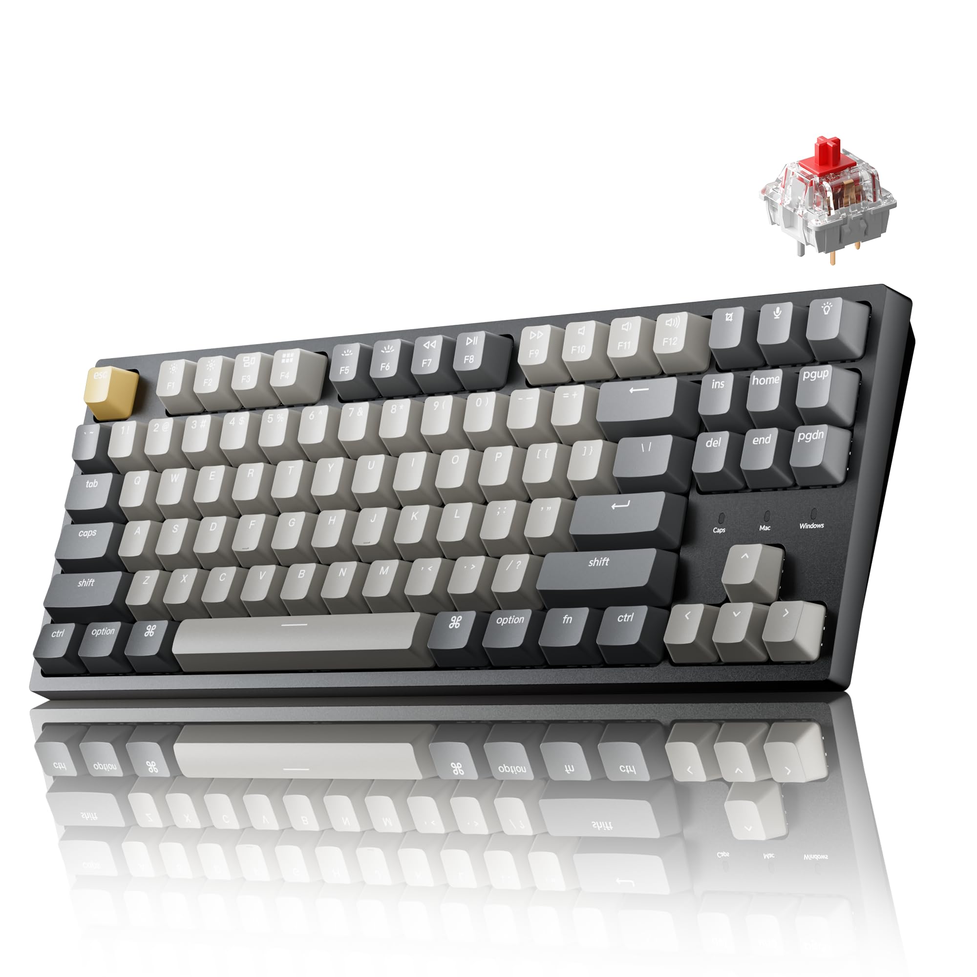 Amazon.co.jp: Keychron C1 Pro Wired TKL Custom Mechanical Keyboard